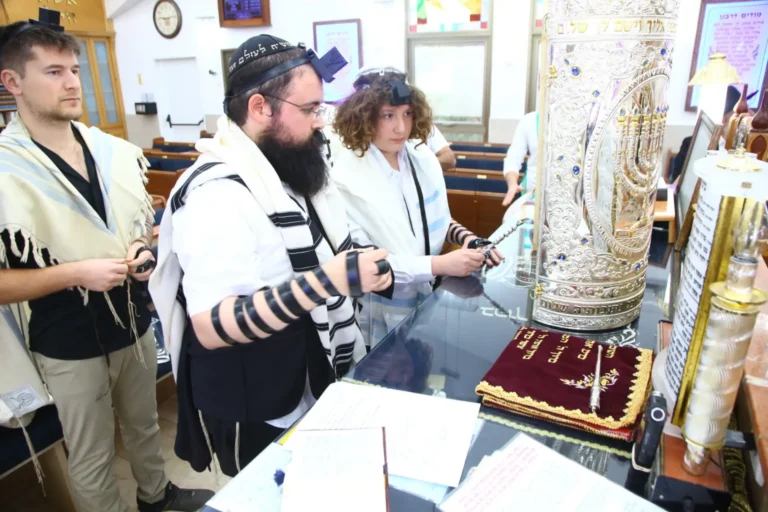 WhatsApp Image 2025-06-03 at 23.11.43