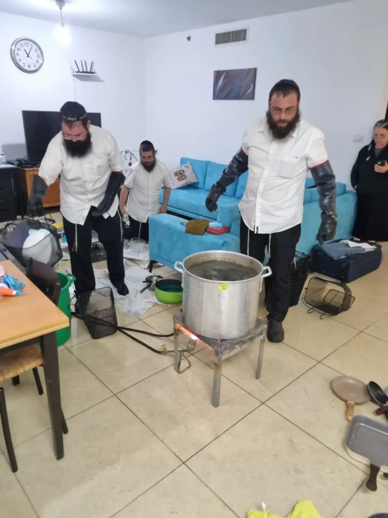 WhatsApp Image 2025-08-07 at 16.51.43